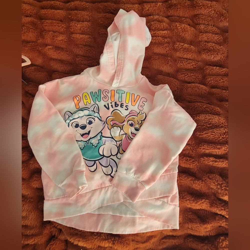Paw Patrol Hoodie Sweater - Picture 2 of 8